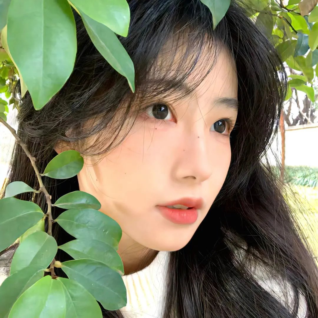 隐世者们